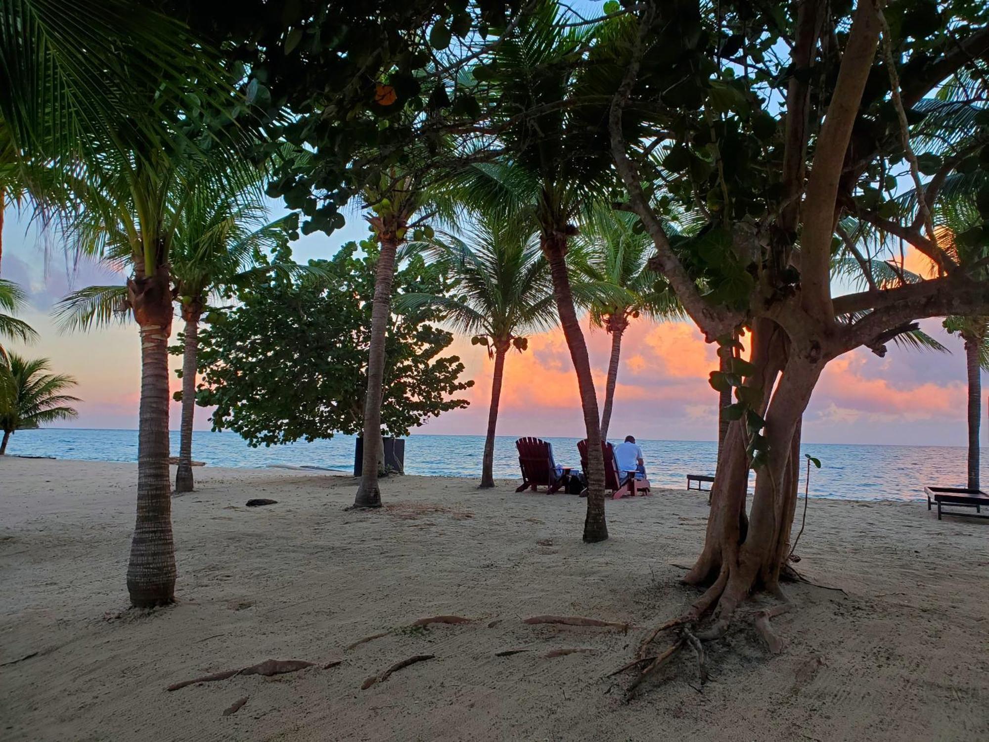 Los Porticos Placencia Phòng bức ảnh